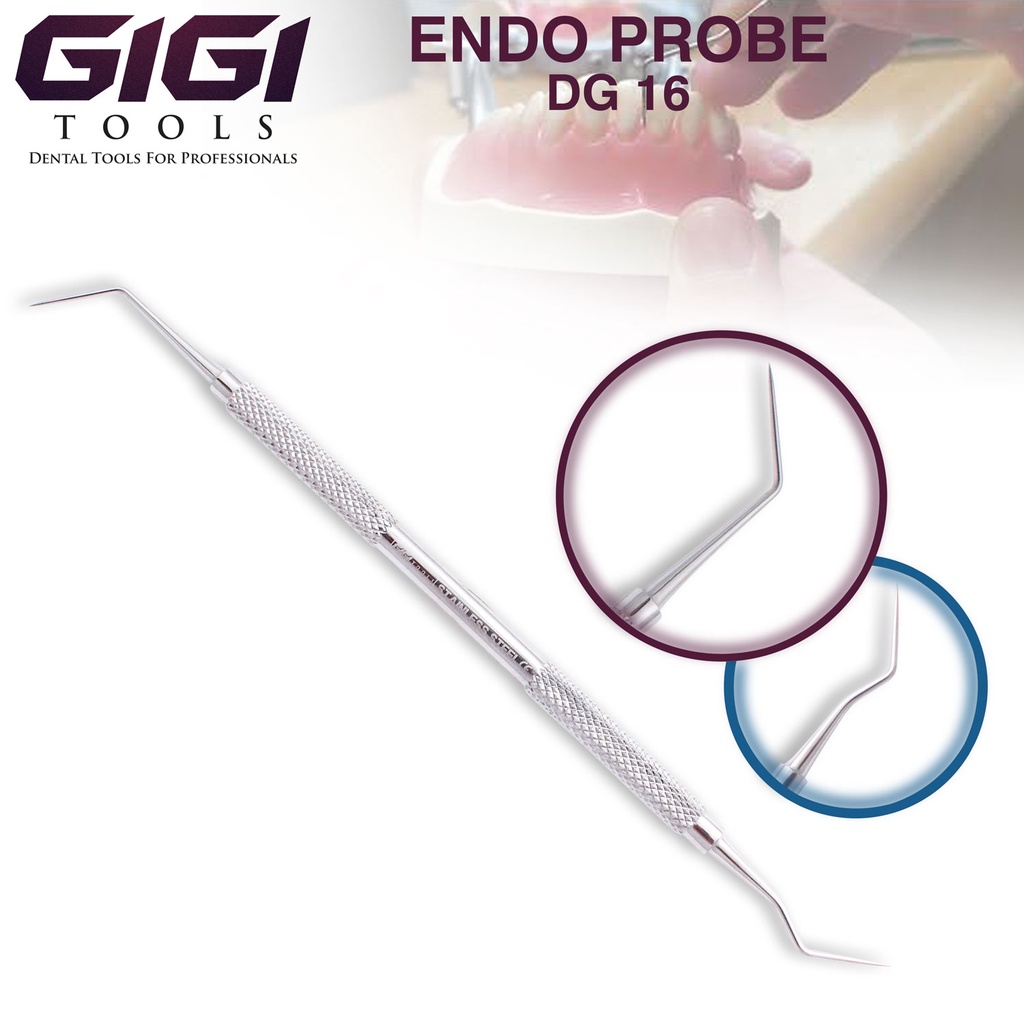GIGI Tools Dental Endo Probe DG 16 Double Ended Stainless Steel, Scaler