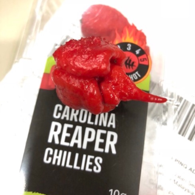 5 Seeds Carolina Reaper HP22B Chilli Pepper - The Hottest Chilli In The ...