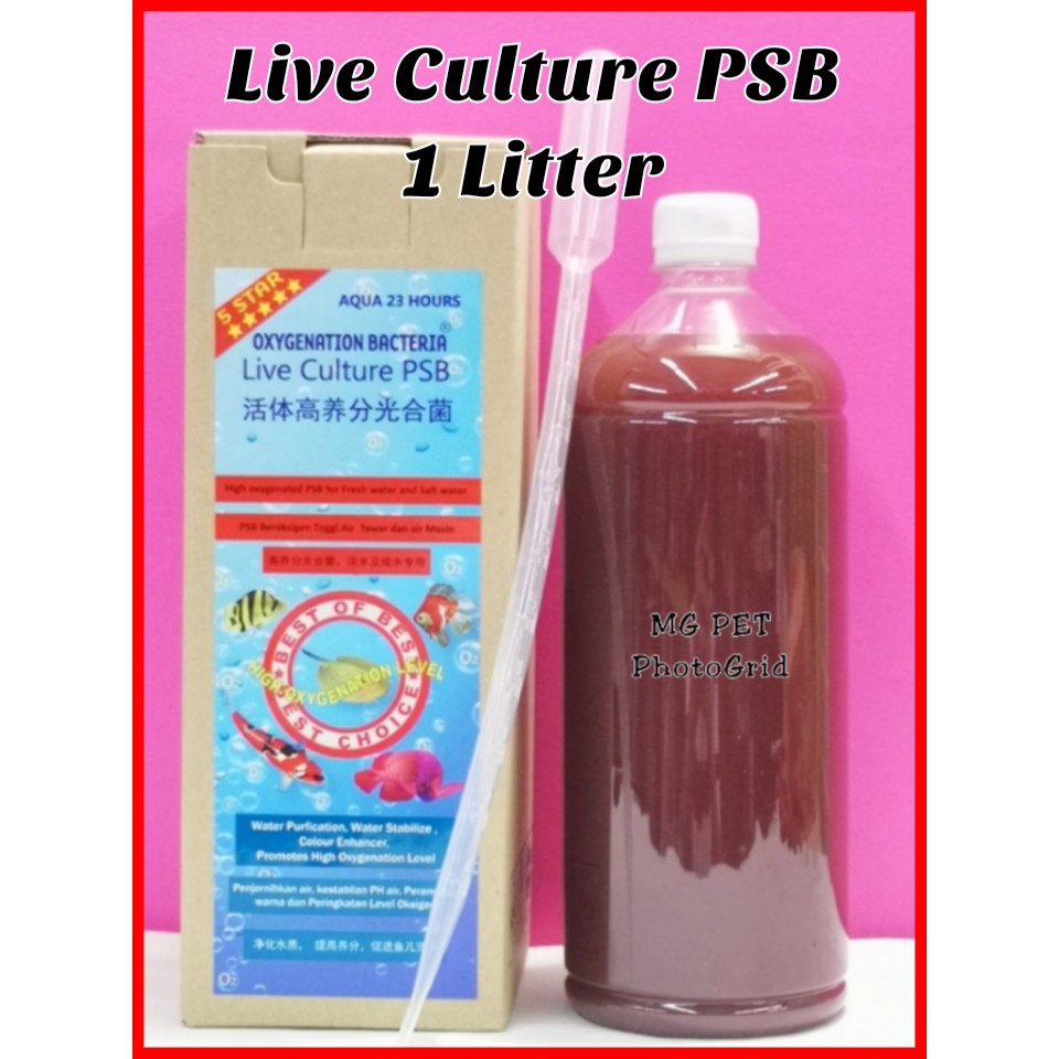 1BTL OXY Live Culture PSB Aquarium Bacteria 1L [ 活体高养分光合菌」AQUA 23 HOURS ...