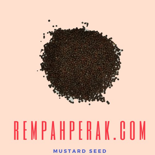 Mustard Seed Biji Sawi 50g ~ 1kg Shopee Malaysia