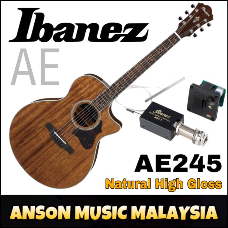 Ibanez ae245l deals