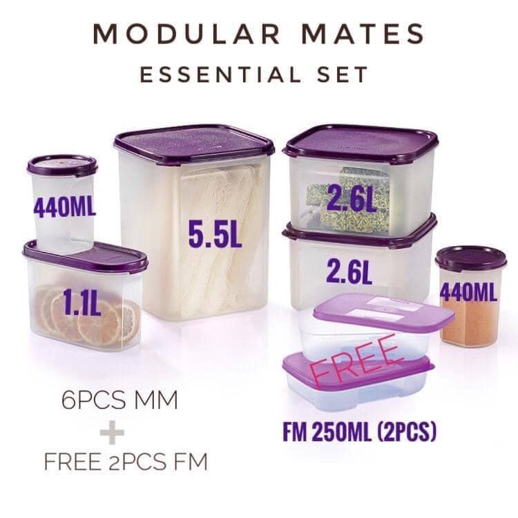 Tupperware Brands Modular Mates Essential Set (8pcs) with Gift Box ...