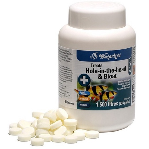 [ STOCK CLEARANCE ] Waterlife Octozin Treats Hole in the head & Bloat ...