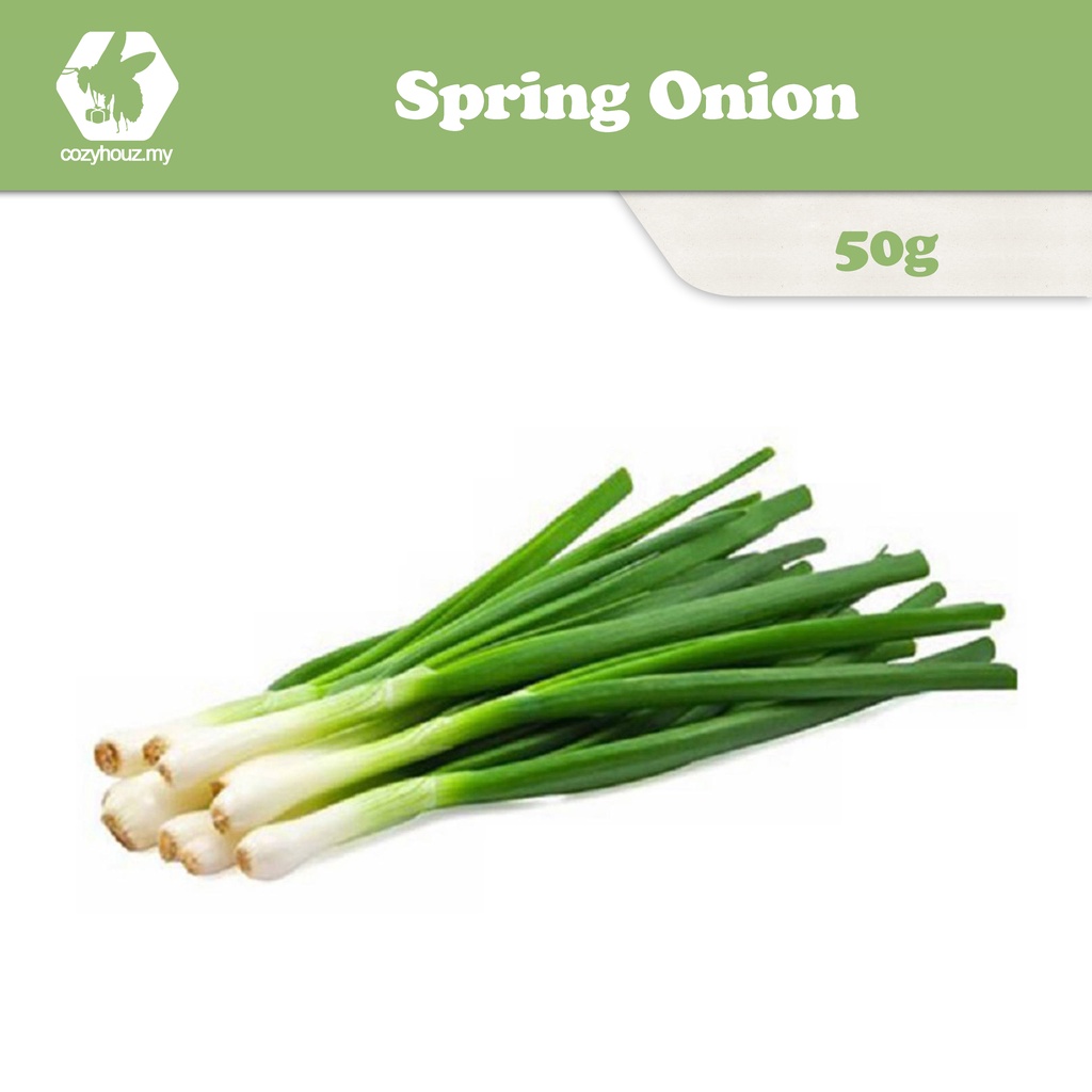 [BTW & PNG AREA ONLY] Spring Onion / Daun Bawang 50g | Shopee Malaysia