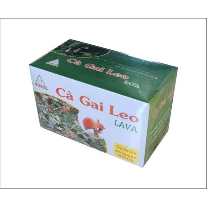 Lava Solanum tea helps increase liver vitality (Box of 30 dip tea packs ...
