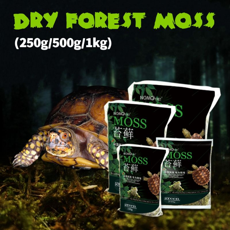 Nomoy Pet Dry Forest Moss Reptile Substrate terrarium landscape bedding