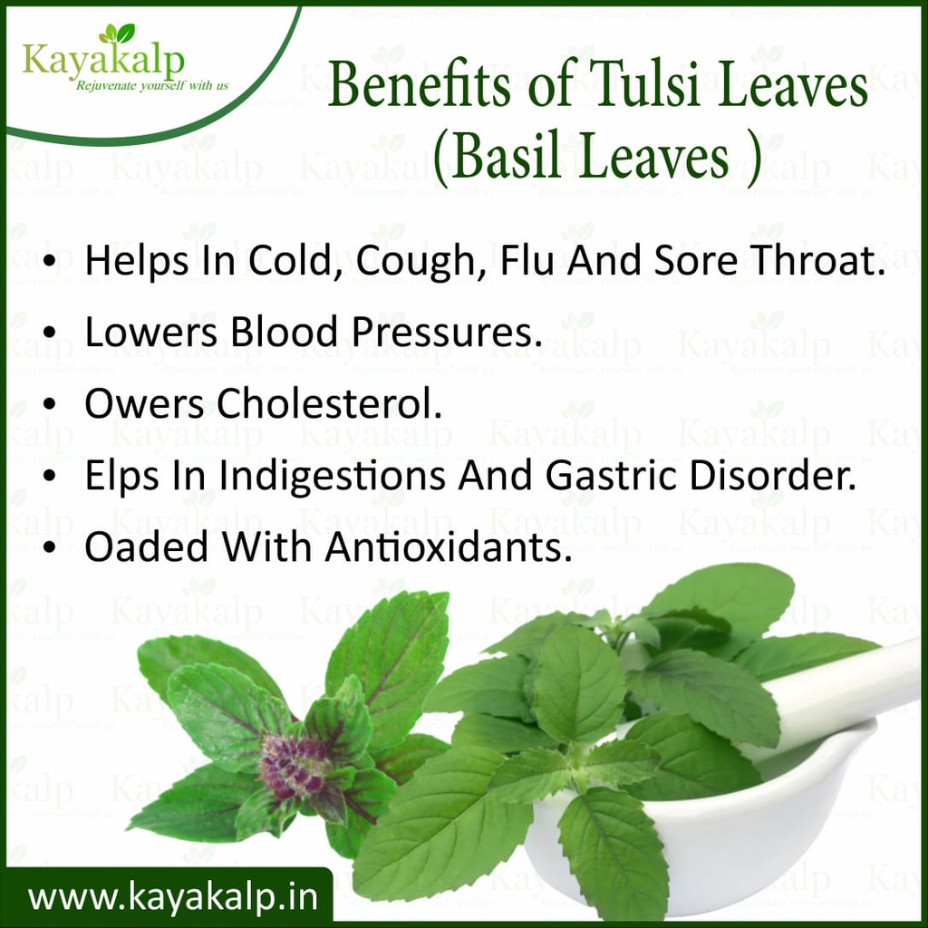 100 PURE NATURAL TULSI TULASI HOLY BASIL LEAVES POWDER 190 GMS