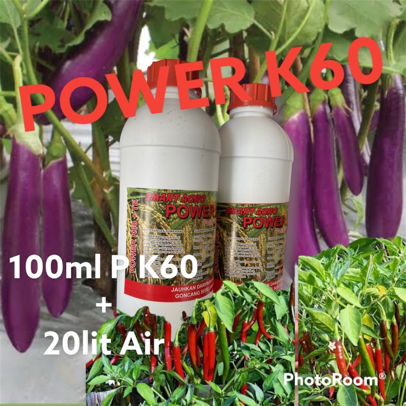 1lit / Baja Power K60 / Baja Semburan Potassium 60 / Baja Cecair Buah