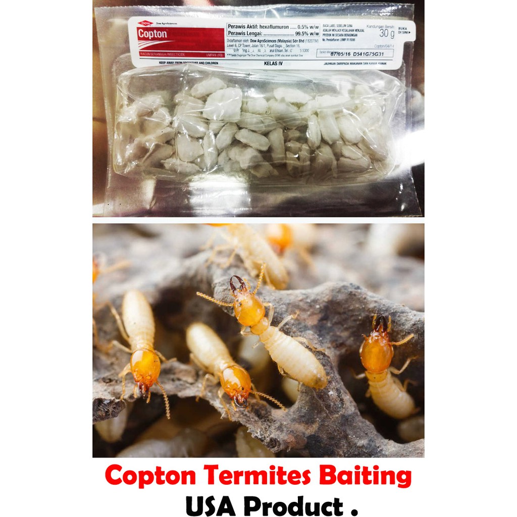 COPTON Termite Bait System Destroy Termites Colony [ Product From USA