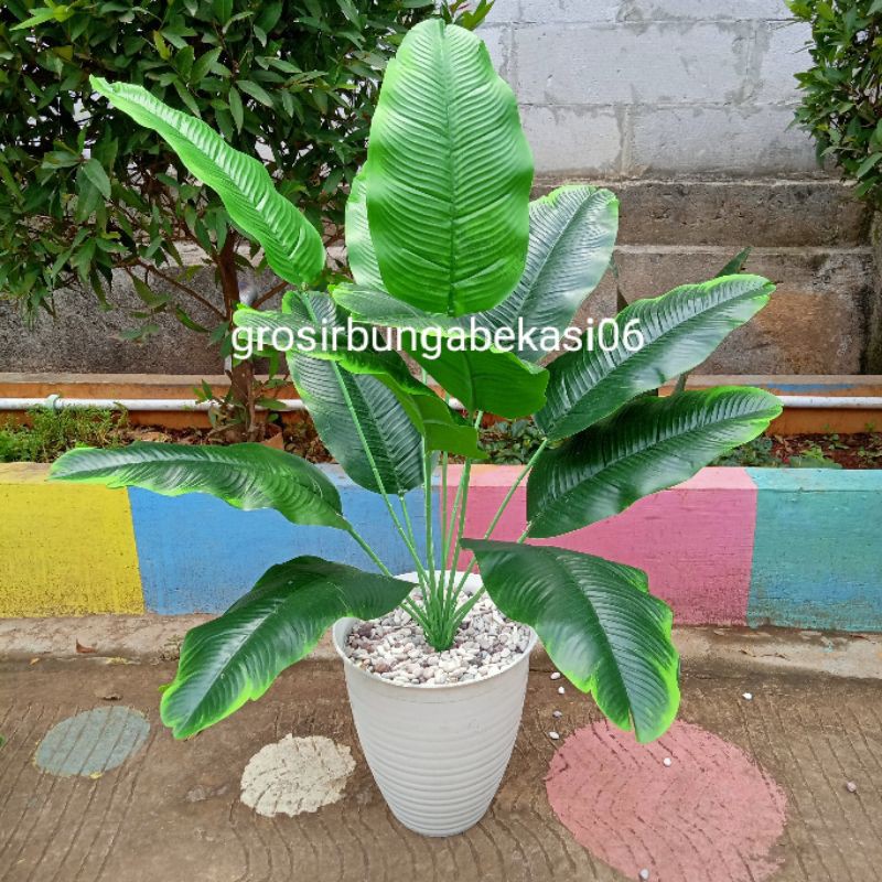 Fake Banana Tree, Artificial Banana Tree. 18. Tire Wasp Pot Shopee