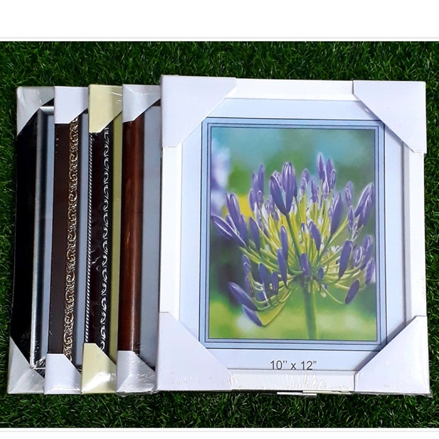 Photo frame size 10R photo frame, quality frame | Shopee Malaysia