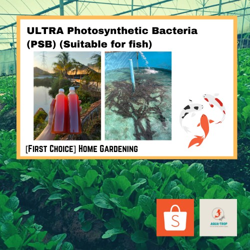 Photosynthetic Bacteria Ultra (PSB) (Fish) | Shopee Malaysia