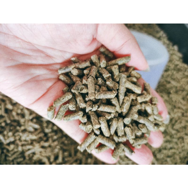 Guinea Pig food pallet 1kg Shopee Malaysia