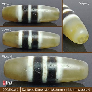 Striped Dzi Bead 三线天珠(UD1102A) 【Dzi House 天珠奇家】 Antique