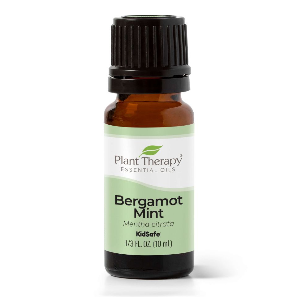Plant Therapy ~ Bergamot Mint Essential Oil 10ml 30ml ⭐️100% Authentic |  Shopee Malaysia