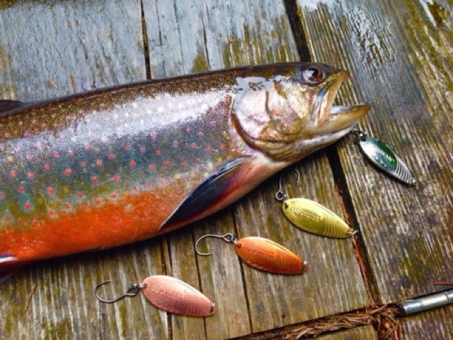 Original TOKWAN SO’DO Spoon SD2 4G / 7G Lure 3cm 4cm Sinking Tok Wan ...