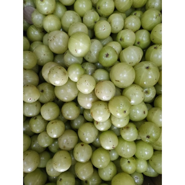 INDIA AMLA / NELLI FRUIT | Shopee Malaysia