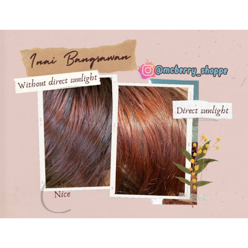 INAI DAUN | INAI CELUP | INAI KUKU | INAI RAMBUT |INAI MURAH #HOTITEMS ...