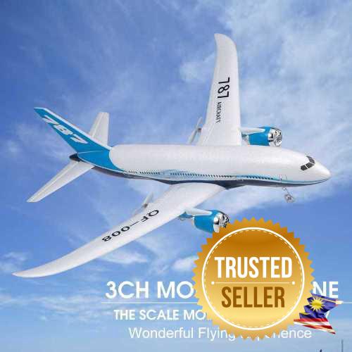 Boeing 787 Airplane Miniature Model Plane 3CH 2.4G Remote Control EPP ...