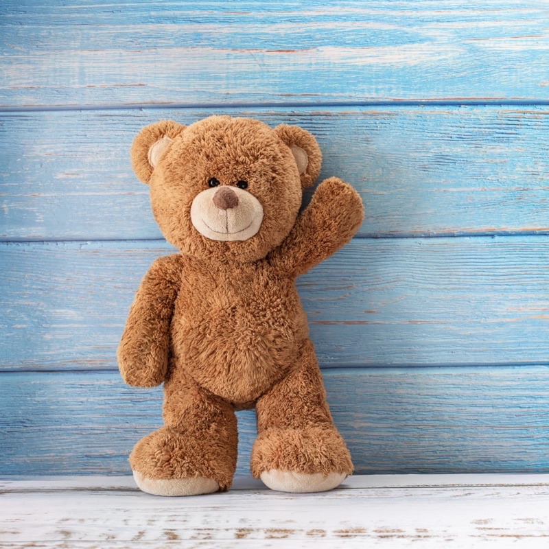 Shopee teddy clearance bear