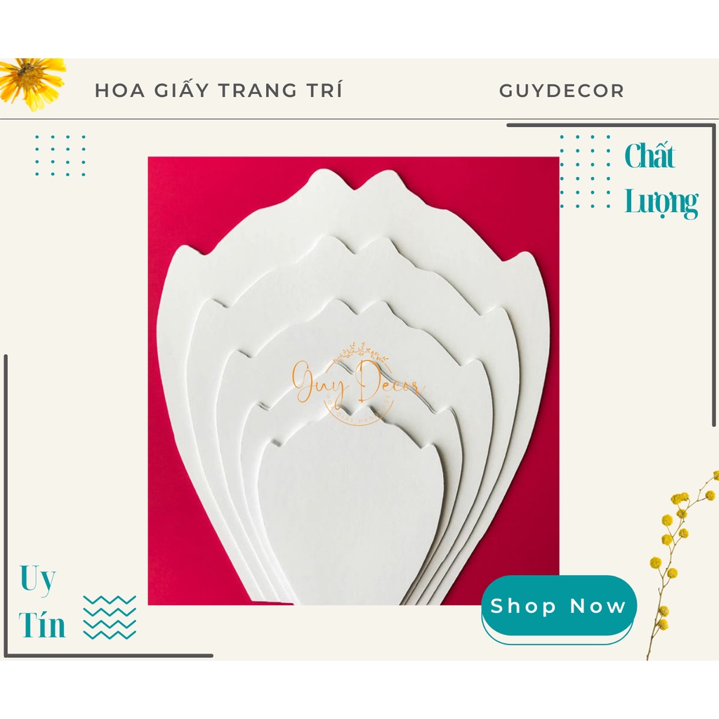5-petal Petal Model Set made of 3mm form | Shopee Malaysia