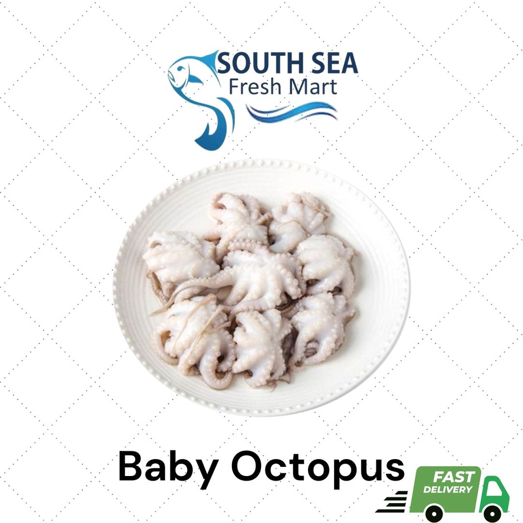 Fresh Frozen Baby Octopus | 300g | Shopee Malaysia