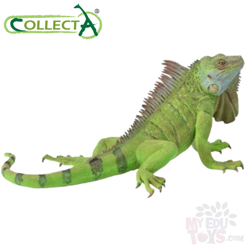 Iguana Green Collecta 88965 Reptiles & Amphibians Animal Action
