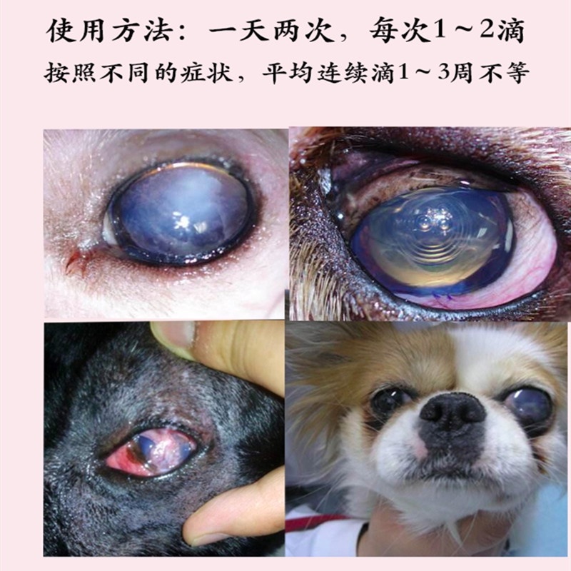 Glaucoma eye drops outlet for dogs