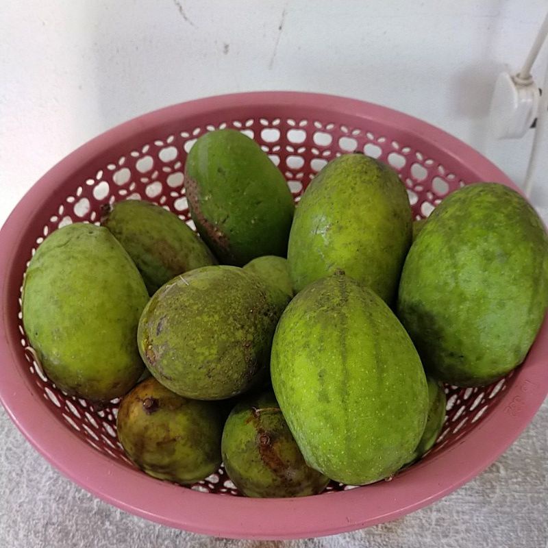 Buah pelam konen(kuinie) | Shopee Malaysia