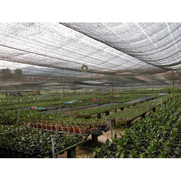 Agriculture Netting (Orchid Net) - Agrinet-SN070-Black - 2m x 100m ...