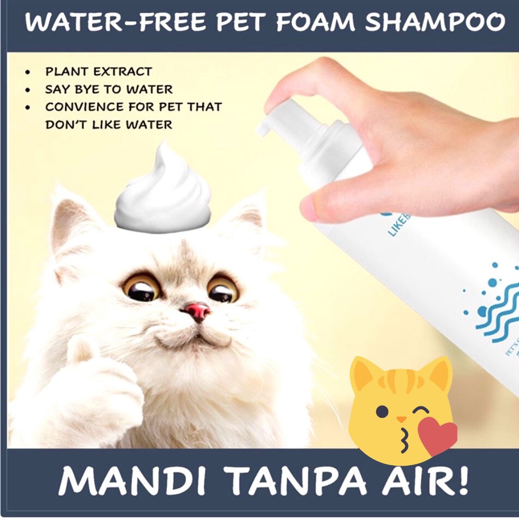 Can i wash my dog with cat outlet shampoo