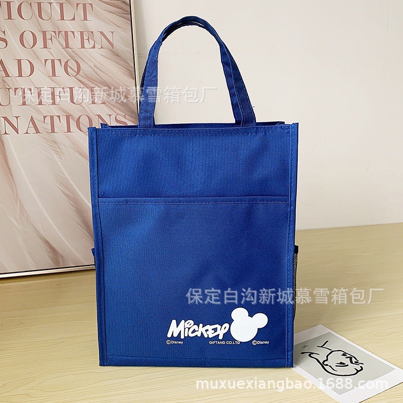 🇲🇾READY STK🇲🇾Tuition bag Tote bag school bag beg tuition casual bag big space bag zip bag