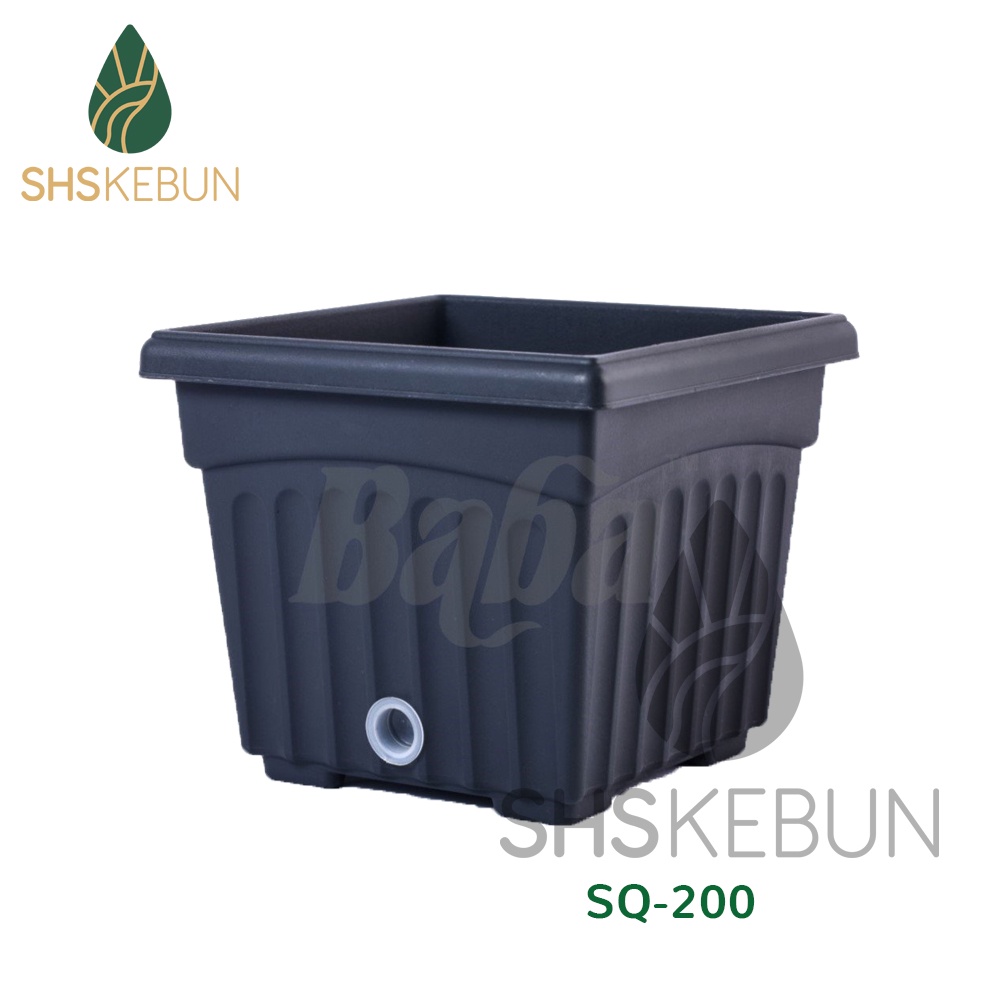 Baba Biodegradable Square Pot Pasu Bunga BI-SQ-200 20cmx20cmx17cm SHS ...