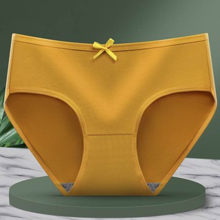 Women Panties Cotton Underwear Plus Size Brief 2XL (10062)
