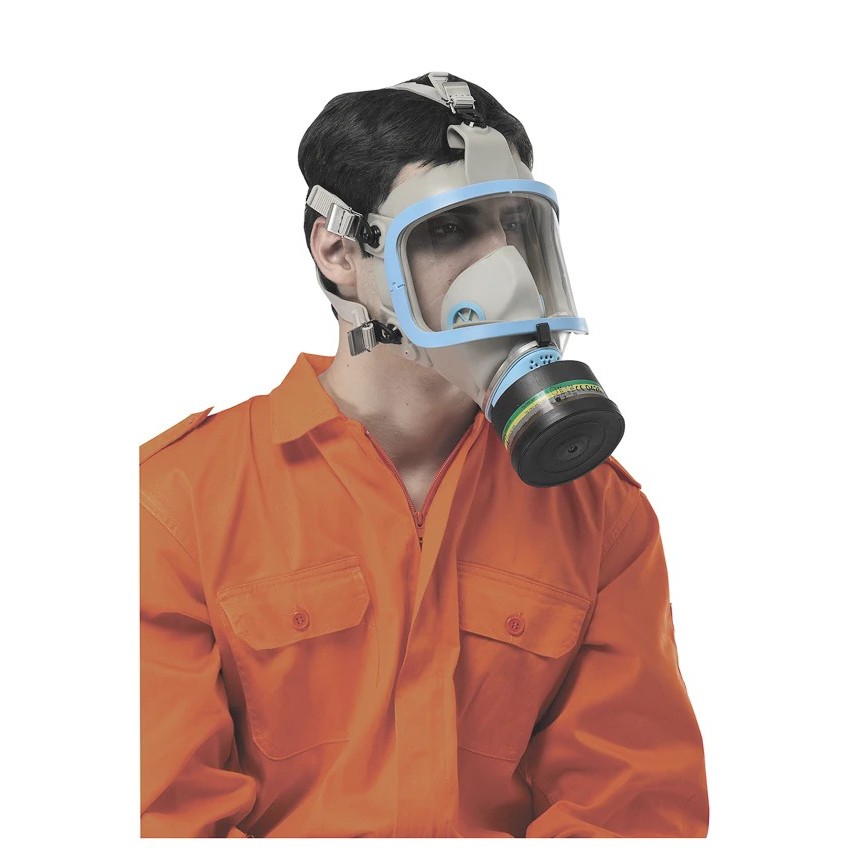 PROGUARD | C809MG / C809 - FULL FACE MASK WITH MPL FILTER - EQUIPPED ...