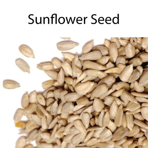 Sunflower Seed Biji Matahari Kuaci 100g 250g 500g 葵花籽 | Shopee Malaysia