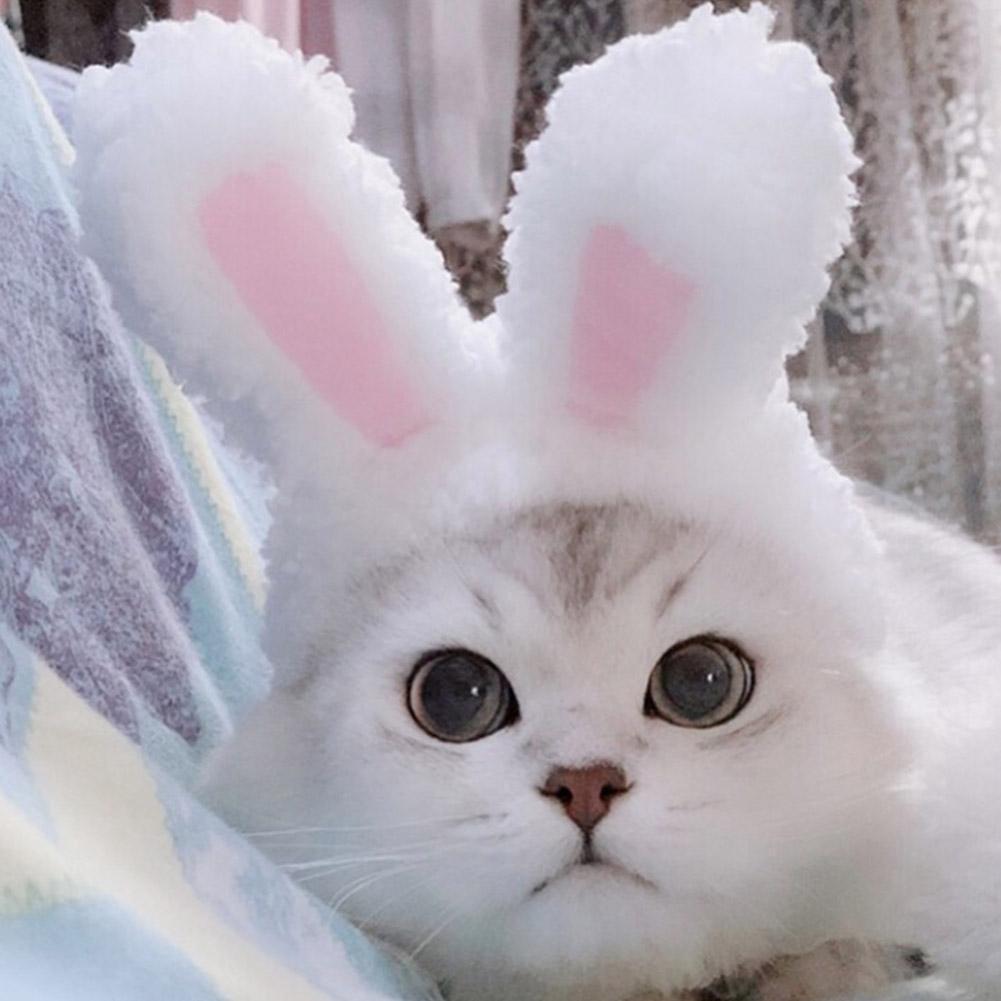 Cat Bunny Rabbit Ears Hat Cap Pet Cosplay Costumes for Cat Small Dogs  Party兔子套头 Shopee Malaysia