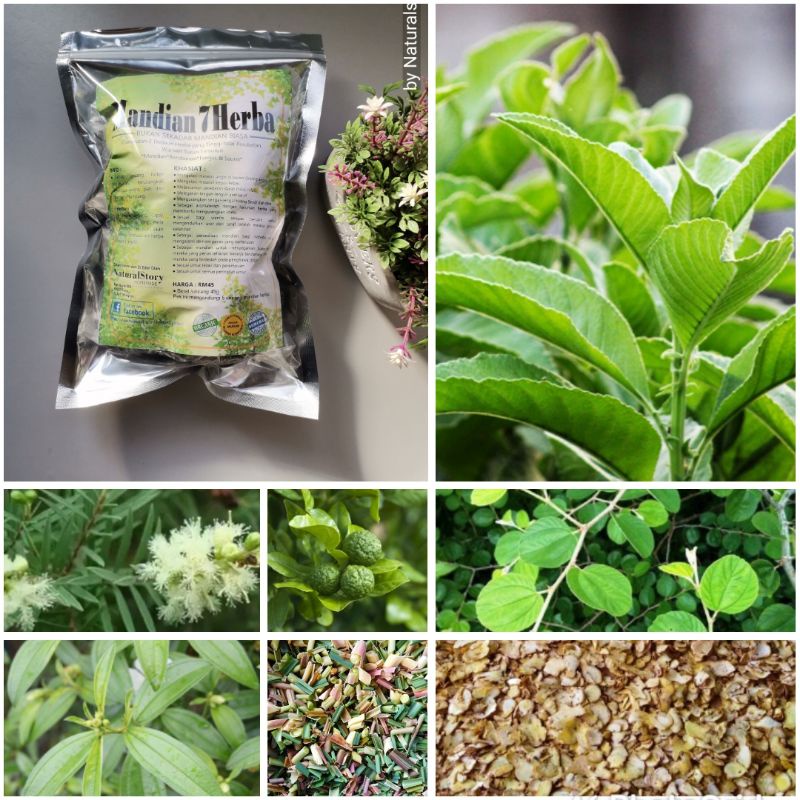 NATURALSTORY Mandian Herba 225g-250g[Mandian 7 Herba] mandian herba ...