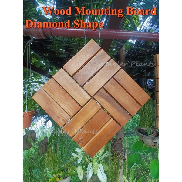 Wood Mount Board for Platycerium Staghorn Fern Orchid Plant Hanging