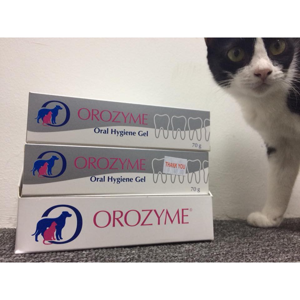 OROZYME Oral Hygiene Gel (Exp 8/2023) Shopee Malaysia