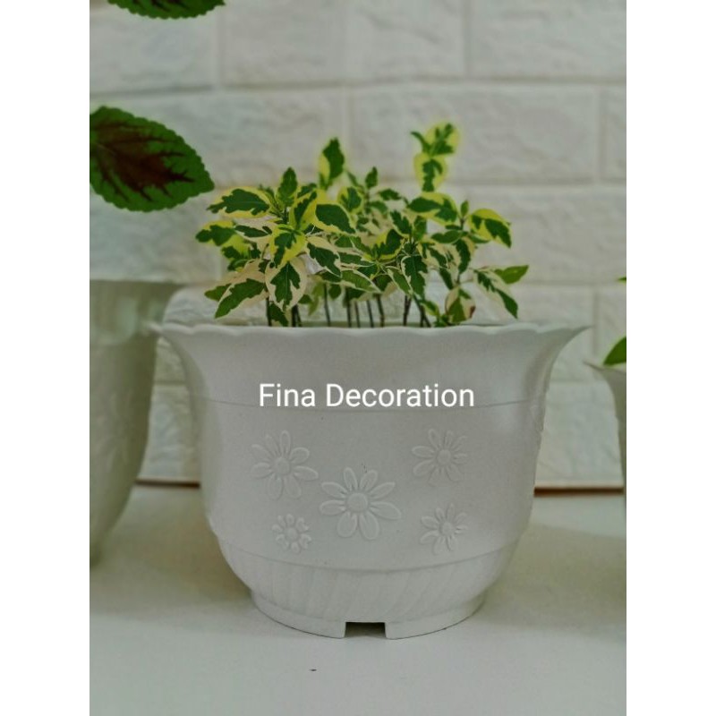 [Local Seller] 🔥HOT ITEM🔥Pasu Plastik Putih Bulat / White Plastic ...