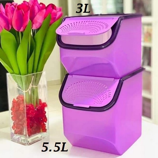 KUAT OFFER Tupperware Garlic N All Keeper (3L)(Garlic keeper/onion Keeper /ginger potato keeper