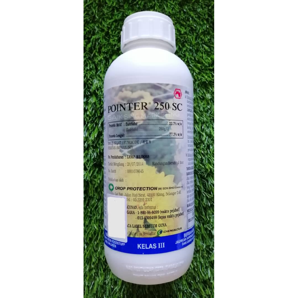 1l Pointer 250sc Flutriafol 22 7 Racun Kulat Fungicide Crop Protection