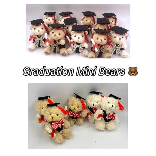 Small graduation teddy bear 2025