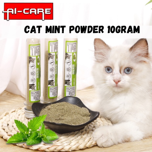 Catnip Test Tube 100gram Mint Powder / Cat Nip / Digest Hairballs / Cat ...
