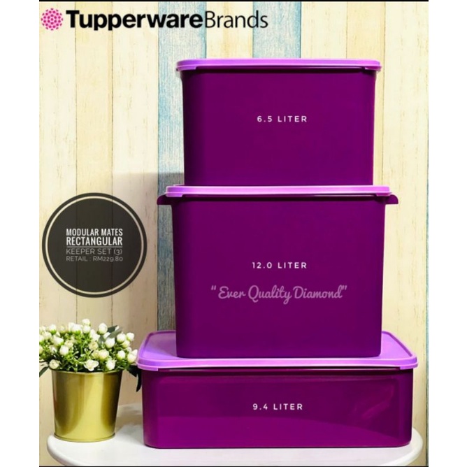 Tupperware Brands Modular Mate Mini Rectangular (6pcs) 1.9L Full Set