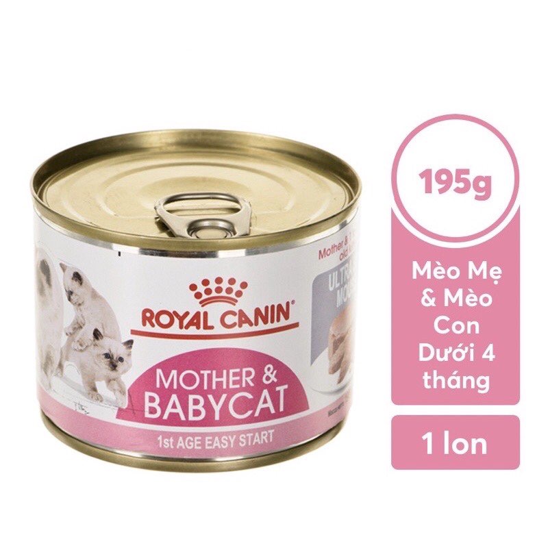 Pate Can ROYAL CANIN MOTHER BABY CAT For MOTHER Cats And Kittens