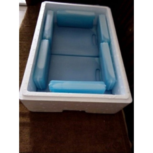 Gel ice pack / Pek gei airbatu550gm boleh pakai balik/reusable | Shopee ...