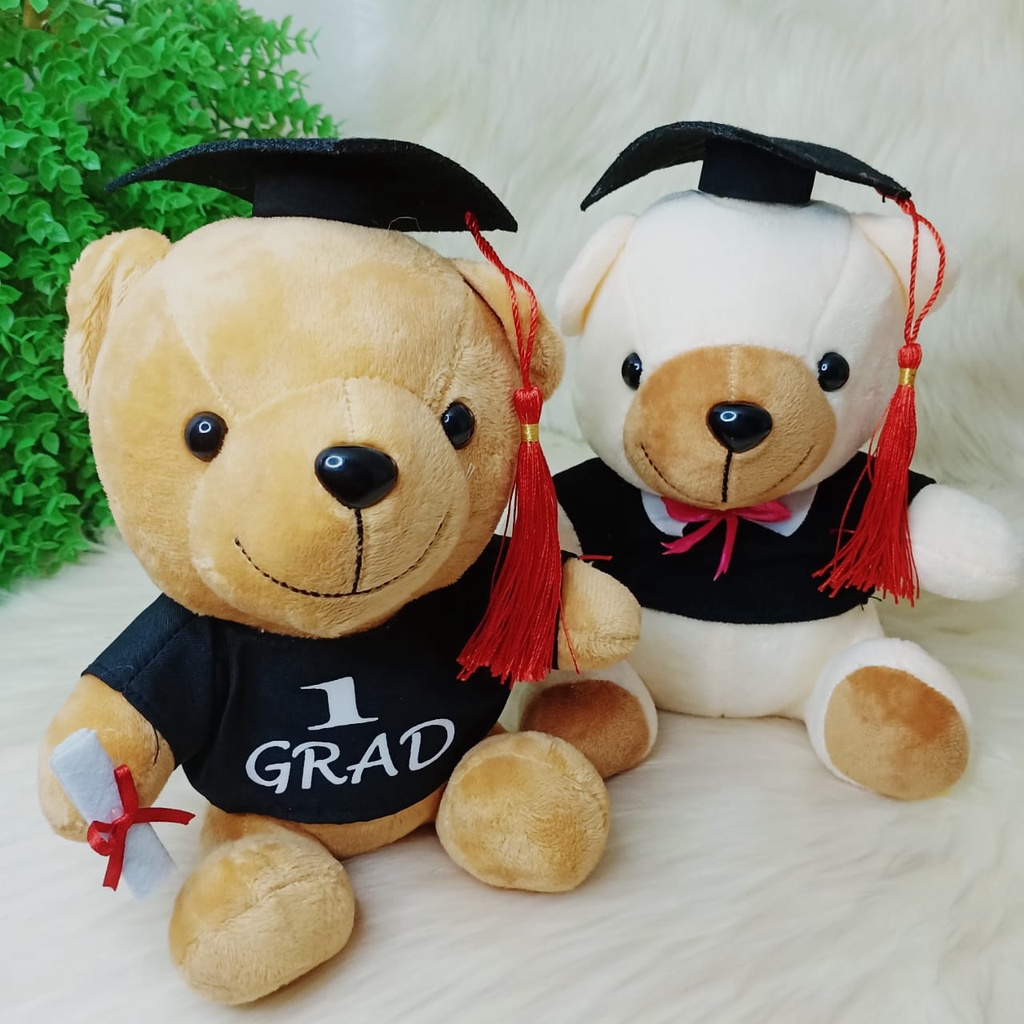 Add on Graduation Teddy Bear 20cm | Shopee Malaysia