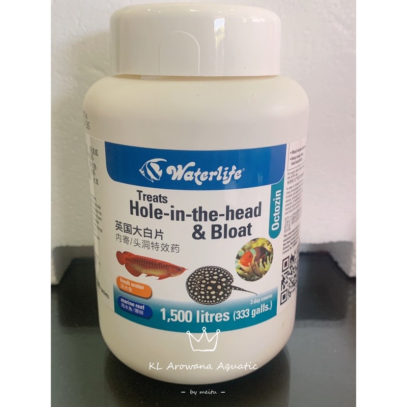 🔰100% original product🔰Octozin Treat Hole-in-the-Head & Bloat | Shopee ...